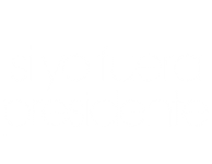 Si yo fuera presidente ...
