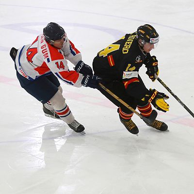 Hockey sobre hielo