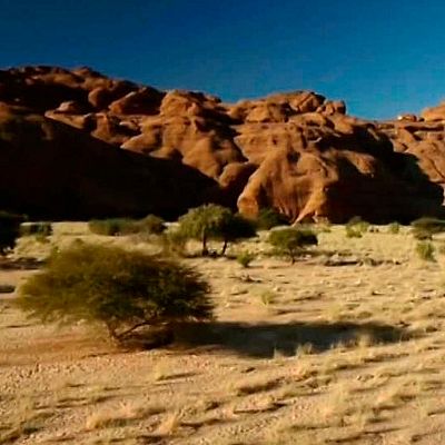 Unidos por el Patrimonio