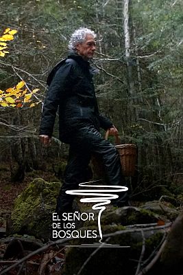 El señor de los bosques