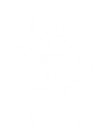 Bajo la red