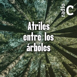 Atriles entre los árboles