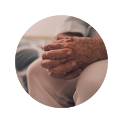 El legado de nuestros mayores