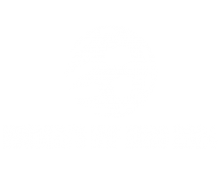 Europeo Femenino de Balonmano