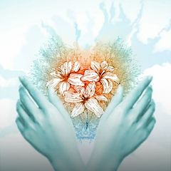 El viaje de un órgano