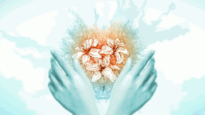 El viaje de un órgano