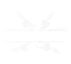 De seda y hierro