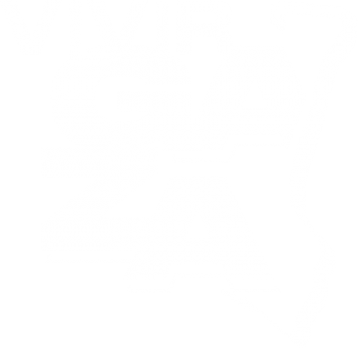 Vivir Gaza
