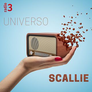 Universo Scallie