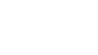 El jugador