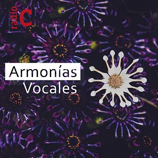 Armonías vocales con 