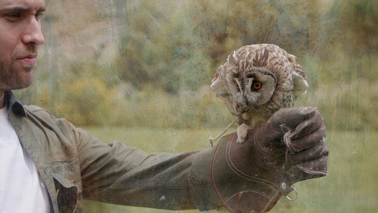 La navaja de Ockham - Horóscopo - ver ahora