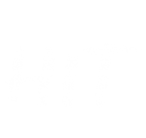Logotipo del programa 'HIT'