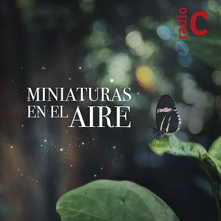 "Miniaturas en el aire", con Julio Valverde