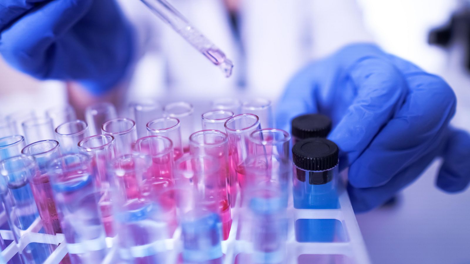 Semifinal FameLab 2021 - Laura Fincias y su monólogo sobre la procrastinación