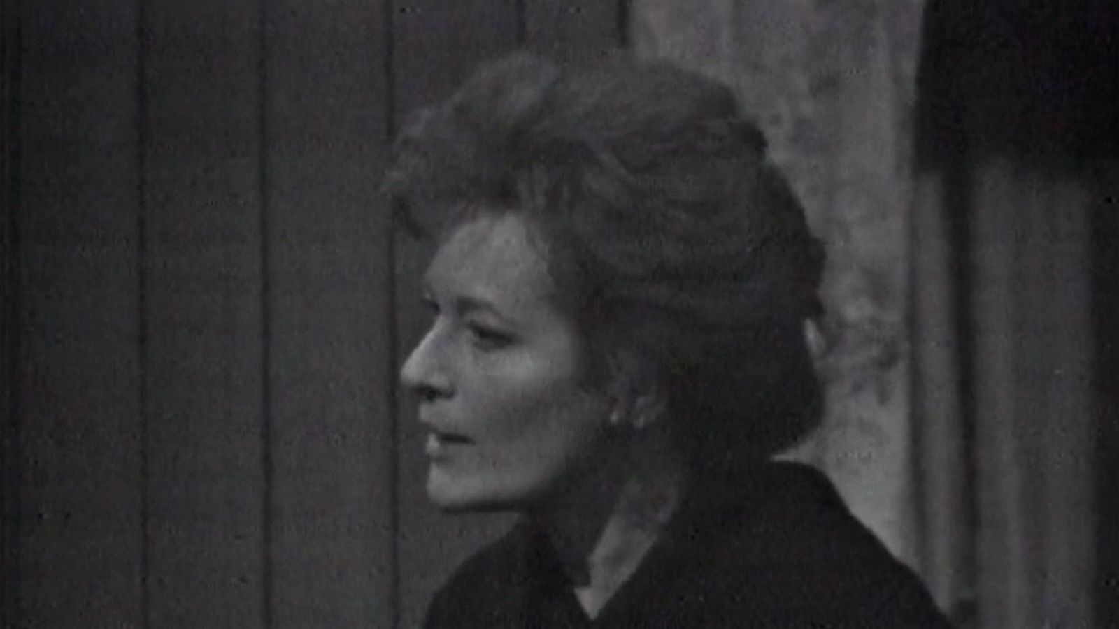 Grandes esperanzas - Capítulo 1 - Grandes esperanzas | Ver