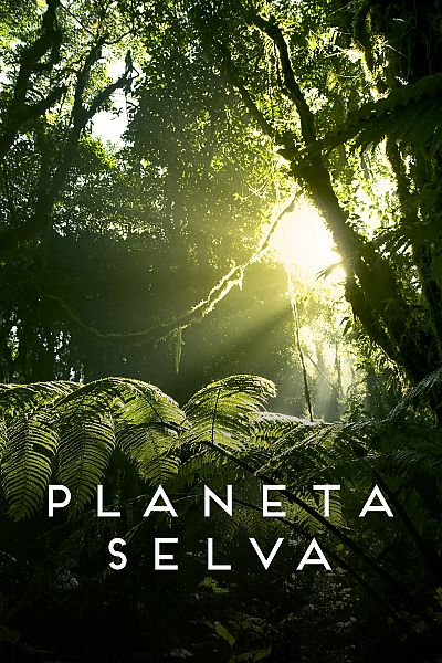 Planeta selva