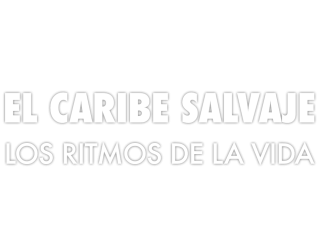 El Caribe salvaje. Los ritmos de la vida