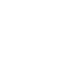 Baron Noir