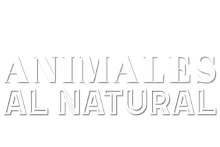 Animales al natural