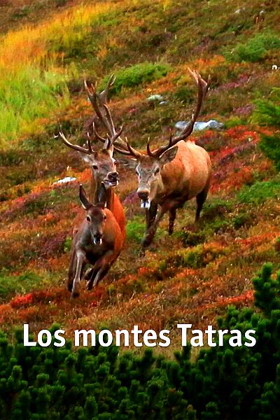 Los montes Tatras