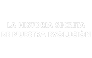 La historia secreta de la evolución