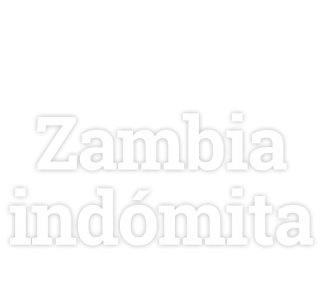 Zambia indómita