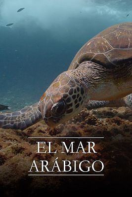 El mar Arábigo