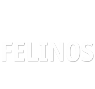 Felinos