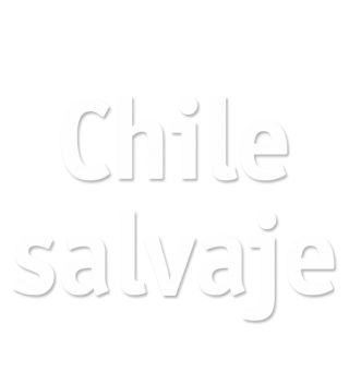 Chile salvaje