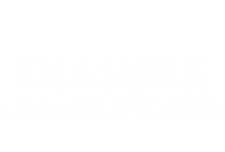 Italia salvaje. Los grandes depredadores