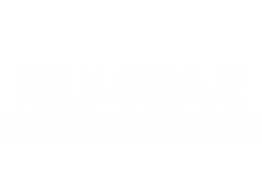 Italia salvaje. Los grandes depredadores