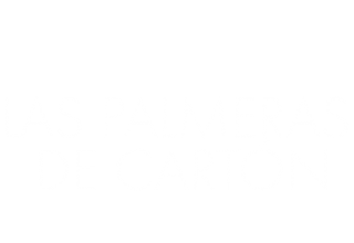 Las palmeras de cartón