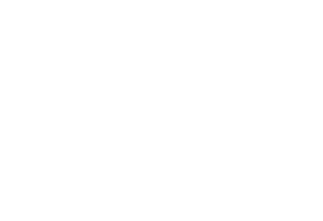 Las palmeras de cartón