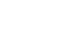 Las palmeras de cartón