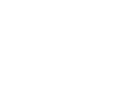 Plinio