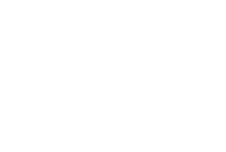 Cachorros: su primer año de vida