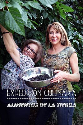 Expedición culinaria. Alimentos de la tierra