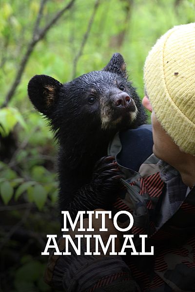 Mito animal
