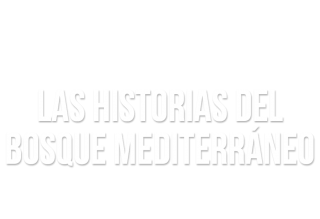 Las historias del bosque mediterráneo