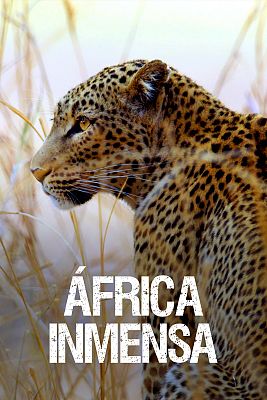 frica inmensa