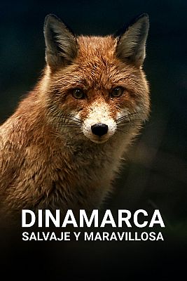 Dinamarca salvaje y maravillosa