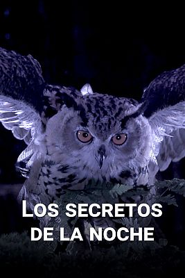 Los secretos de la noche