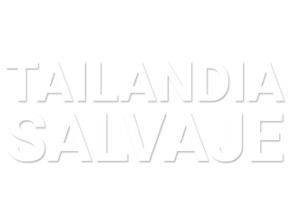 Tailandia salvaje