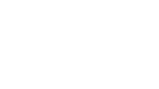 La conquista de los cielos de David Attenborough
