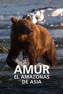 Amur, el Amazonas de Asía
