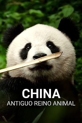 China Antiguo Reino Animal