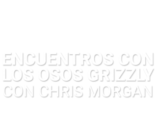 Encuentros con los osos Grizzly con Chris Morgan