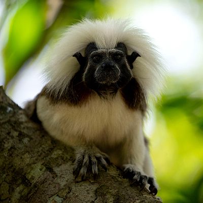 Siete mundos un planeta