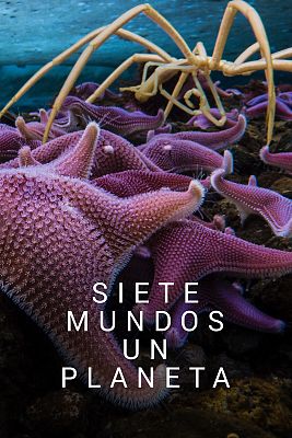 Siete mundos un planeta